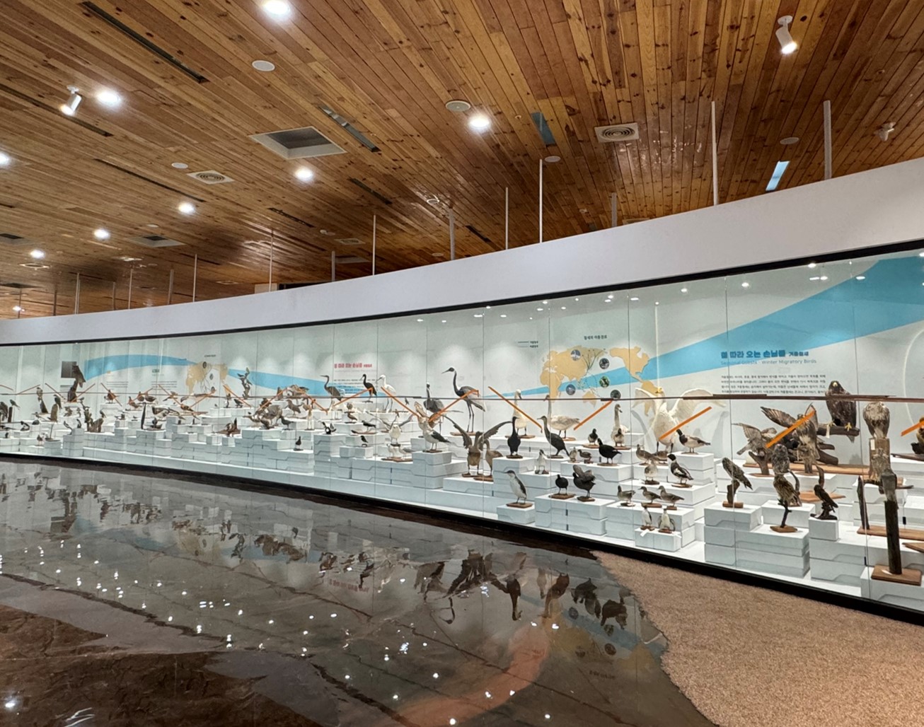 (3/21) 새 발가락 탐험 이미지