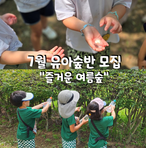 7월 유아숲체험 이미지