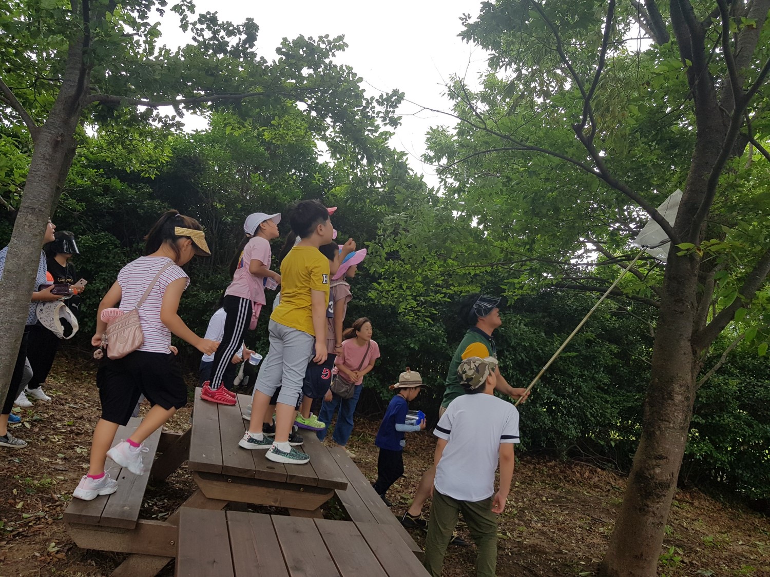 (8/8) 여름을 알리는 곤충 매미 이미지