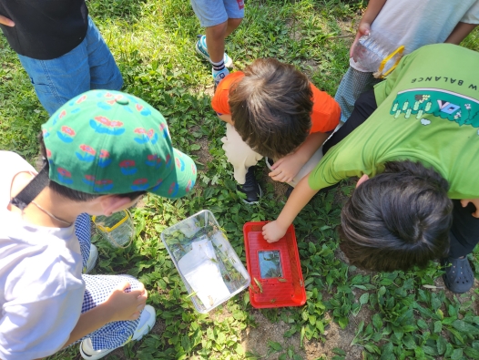 유아숲-유아놀숲(수시반) 이미지