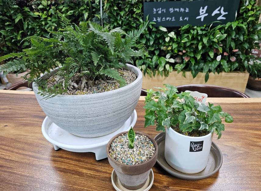 2025년 반려식물 공개강좌 [1회차] 이미지