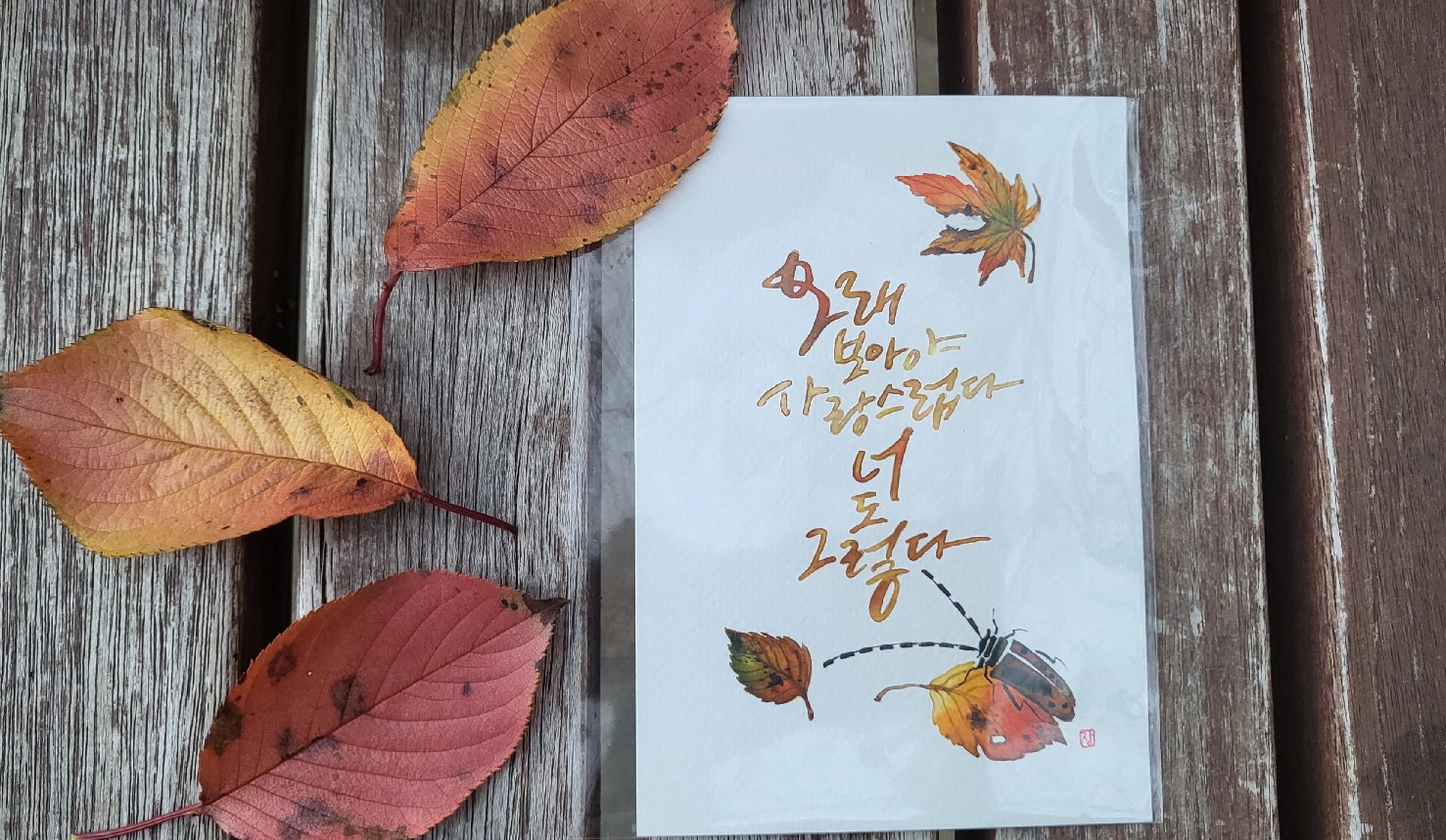 [정규] 수채그림&캘리그라피★ 이미지