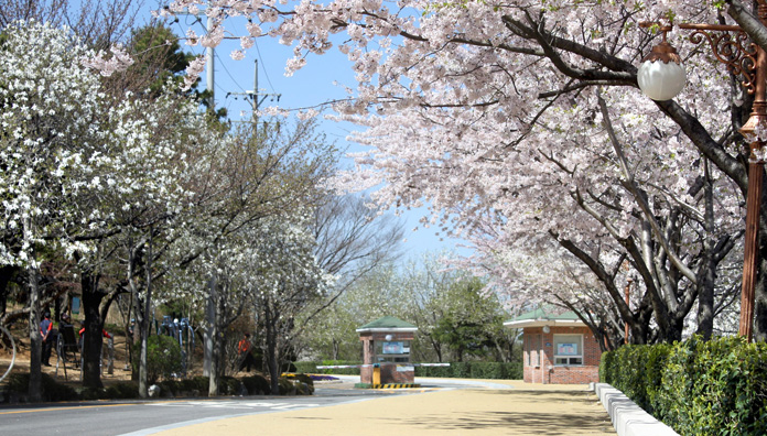 금련산청소년수련원 이미지
