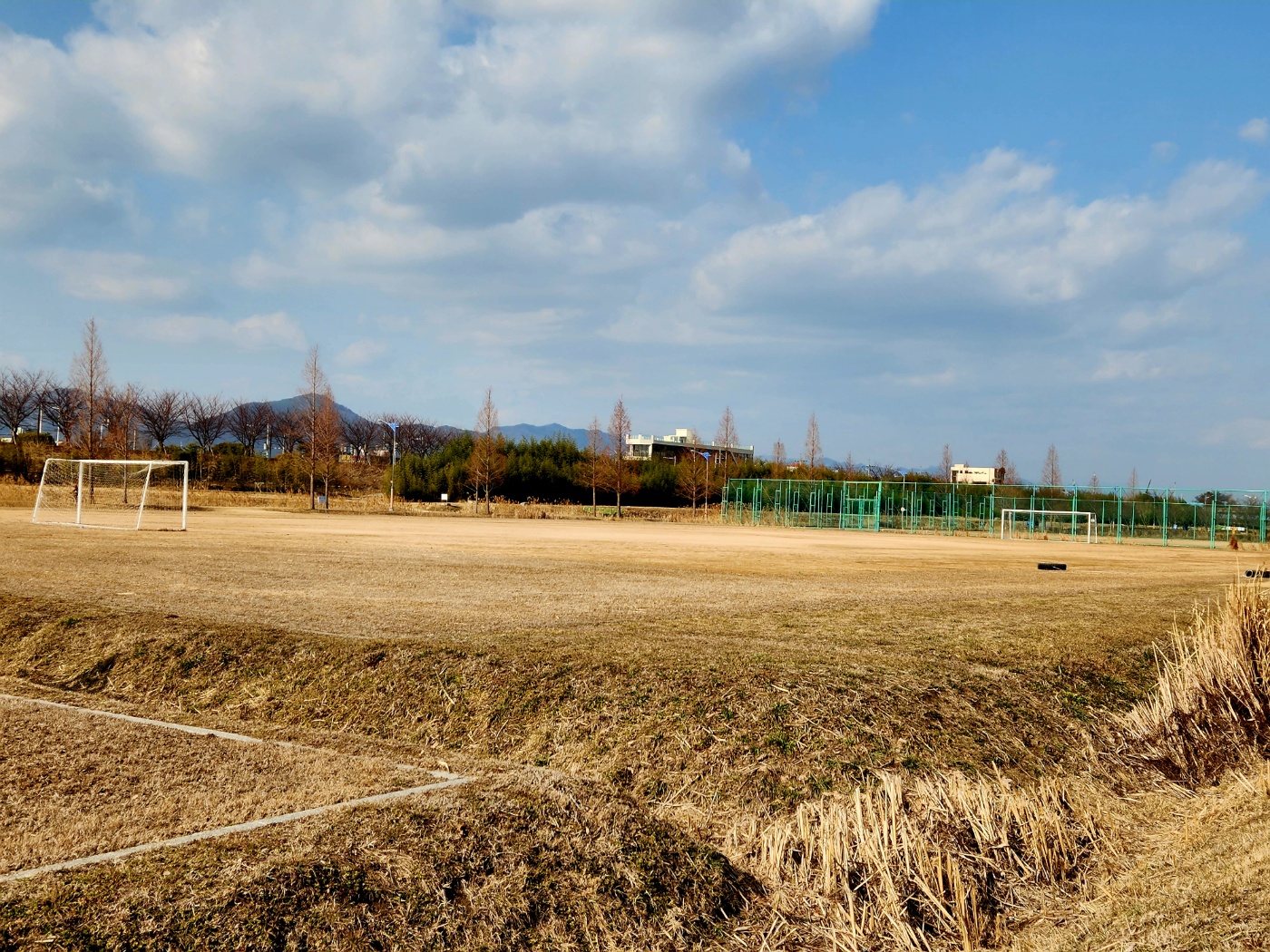 대저생태공원 - 축구장(하절기) 이미지