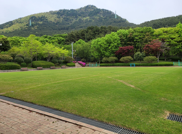 종합운동장(무료) 아시아드미니잔디구장 이미지