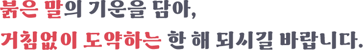 乙巳年 푸른뱀의 해 새해 복 많이 받으세요