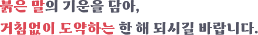乙巳年 푸른뱀의 해 새해 복 많이 받으세요