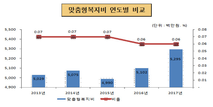 맞춤형복지비 연도별 비교(단위 : 백만원, %)
2013년 : 맞춤형복지비 5,029, 비율 0.07
2014년 : 맞춤형복지비 5,075, 비율 0.07
2015년 : 맞춤형복지비 4,990, 비율 0.07
2016년 : 맞춤형복지비 5,102, 비율 0.06
2017년 : 맞춤형복지비 5,295, 비율 0.06