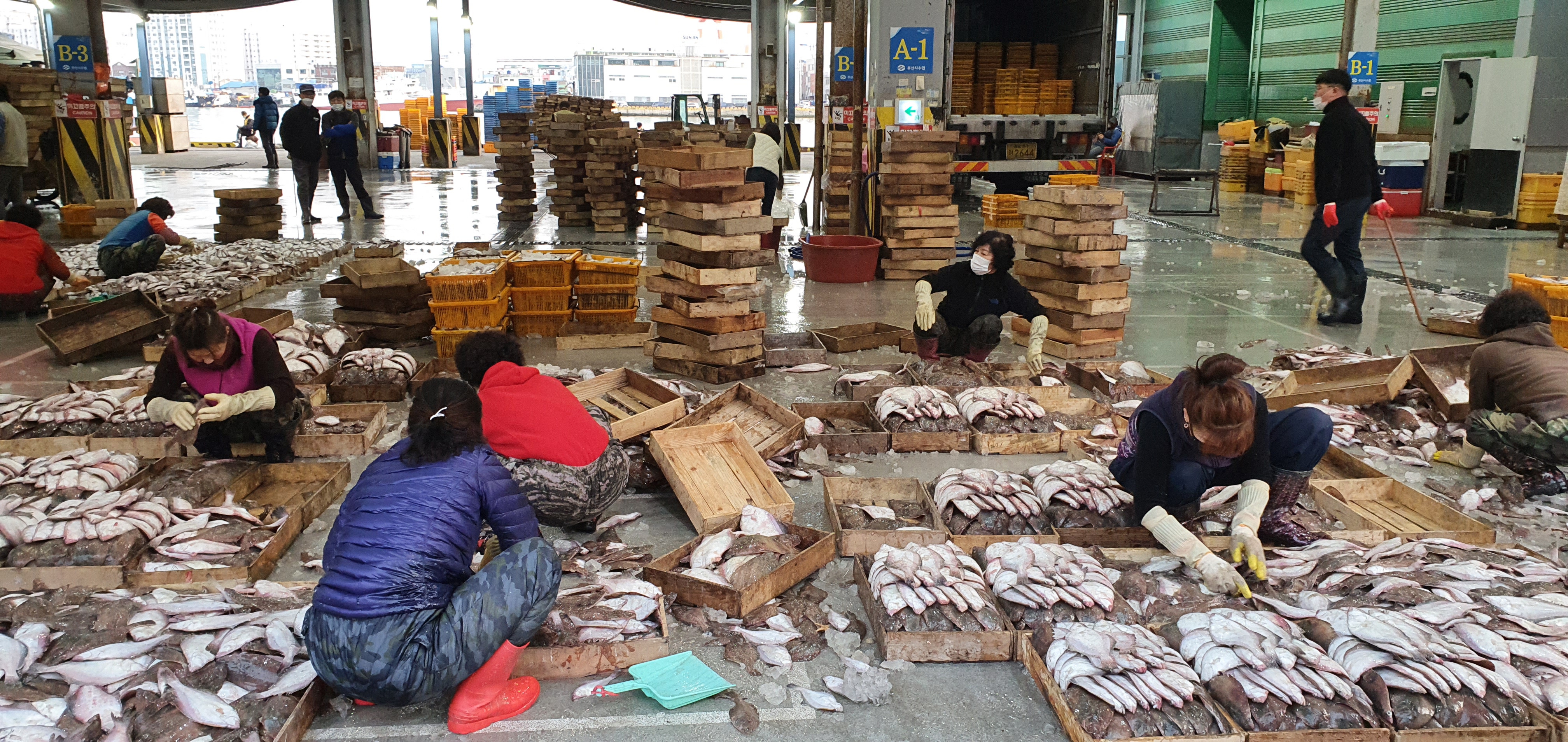 수산물 안전성 검사 운영 절차1