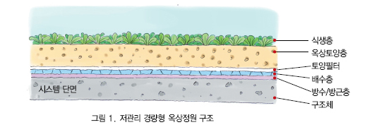 저관리 경량형 옥상정원구조 식생층, 옥상토양층, 토양필터, 배수층, 방수/방근충, 구조체