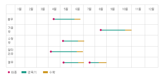 연간재배형태 이미지 - 봄무 : 4월에 파종, 4월에서 6월초까지 생육기, 6월에 수확. 가을무 : 8월에 파종 8월부터 10월중순까지 생육기 10월에 수확. 소형무 : 5월에 파종, 5월부터 6월중순까지 생육기, 6월말에 수확. 알타리무 : 4월에 파종~6월중순까지 생육기, 6월말에 수확. 열무 : 5월초 파종~6월중순까지 생육기 6월말 수확, 7월중순 파종~ 8월중순까지 생육기, 8월말에 수확