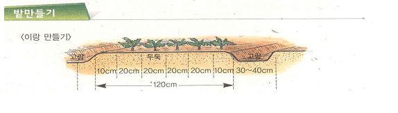 이랑만들기 - 고랑, 두둑(10,20,20,20,20,10cm), 고랑(30~40cm)