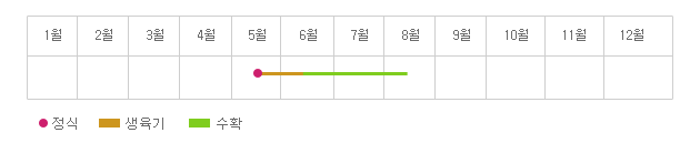 연간재배형태 - 5월 중순에 정식, 6월 중순까지 생육기, 8월 중순까지 수확