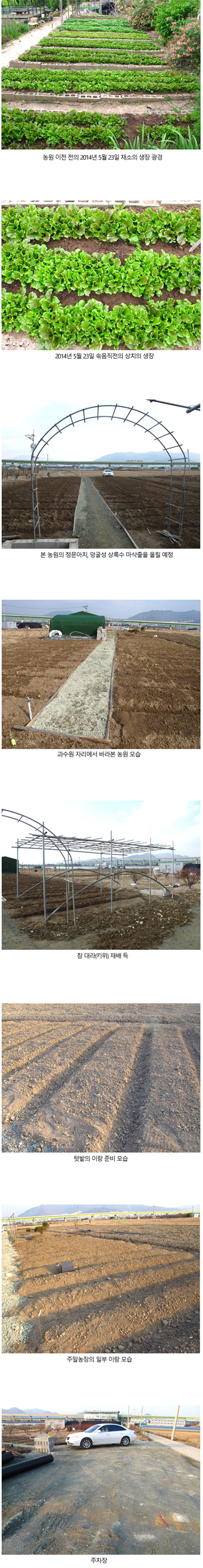 유기농자연농원 전경 - 1) 농원 이전 전의 2014년5월23일 채소의 생장 광경 2) 2014년5월23일 솎음직전의 상치의 생장 3) 본 농원의 정문아치, 덩굴성 상록수 마삭줄을 올릴예정 4) 과수원 자리에서 바라본 농원 모습 5) 참 다래(키위)재배 득 6) 텃밭의 이랑 준비모습 7) 주말농장의 일부 이랑 모습 8) 주차장