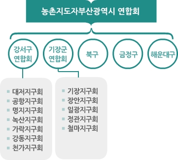 농촌지도자부산광역시 연합회 조직도 강서구연합회,대저지구회,공항지구회,명지지구회,녹산지구회,가락지구회,강동지구회,천가지구회, 기장군연합회,기장지구회,장안지구회,일광지구회,정관지구회,철마지구회,북구,금정구,해운대구