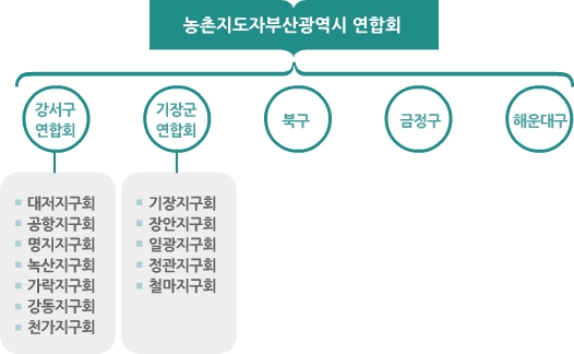 농촌지도자부산광역시 연합회 조직도 강서구연합회,대저지구회,공항지구회,명지지구회,녹산지구회,가락지구회,강동지구회,천가지구회, 기장군연합회,기장지구회,장안지구회,일광지구회,정관지구회,철마지구회,북구,금정구,해운대구