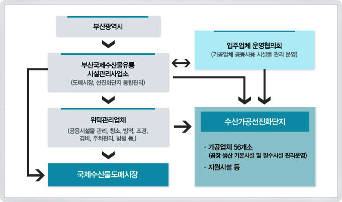 수산가공 선진화단지의 관리운영체계로 부산광역시 산하 부산국제수산물유통 시설관리사업소에서 도매시장, 선진화단지
통합관리하고 입주업체 운영협의회와 가공업체 공동사용 시설물 관리 운영을 하며 수산가공선진화단지를 통해 가공업체 56개소(공장
생산 기본시설 및 필수시설 관리 운영) 및 지원시설등을 관리하며 위탁관리업체를 통해 공용시설물 관리, 청소, 방역, 조경,
경비, 주차관리, 방범 등을 관리하며 국제수산물 도매시장을 관리함