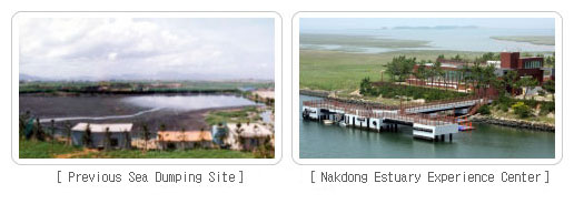 The Nakdong Estuary, Past and Present photo