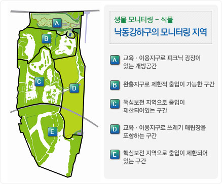 생물 모니터링 - 식물 
                            낙동강하구 식물모니터링 지역
                            A : 교육,이용지구로 피크닉 광장이 있는 개방공간
                            B : 완충지구로 제한적 출입이 가능한 구간, 핵심보전 지역으로 출입이 제한되어있는 구간
                            C : 교육 이용지구로 쓰레기 매립장을 포함하는 구간
                            D : 핵심보전 지역으로 출입이 제한되어 있는 구간