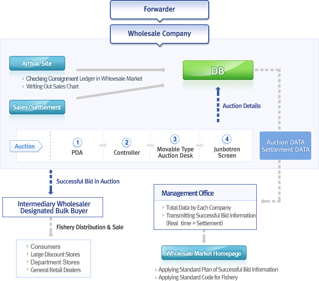 Forwarder → Wholesale Company → 1) Arrival Site (Checking Consignment Ledger in Whloesale Market, Writing Our Sales Chart) 2) Sales/Settlement  → DB → Action DATA Settlement DATA → Management Office(Total Data by Each Company, Transmitting Successful Bid Information(Real time + Settlement))  → Wholesale Market Homepage(Applying Standard Plan of Successful Bid Information, Applying Standard Code for Fishery). Action( (1)PDA → (2)Controller → (3) Movable Type Auction Desk → (4)Junbotron Screen ) → Successful Bid in Action  → Intermediary Wholesaler Designated Bulk Buyer →  Fisery Distribution & Sale → Consumers, Large Discount Stores, Department Stores, General Retail Dealers.