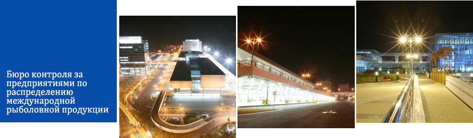 국제수산물도매시장 사진