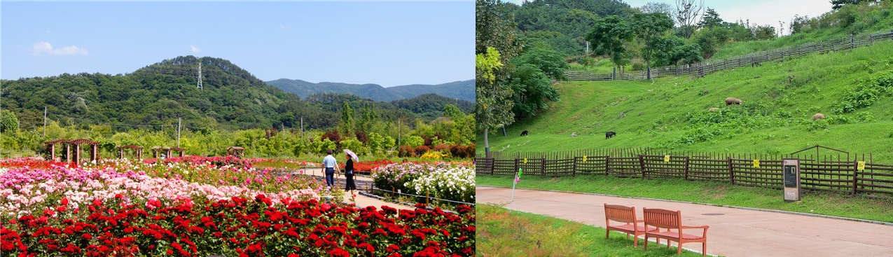 Haeundae Arboretum