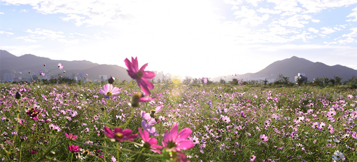 Daejeo Ecological Park