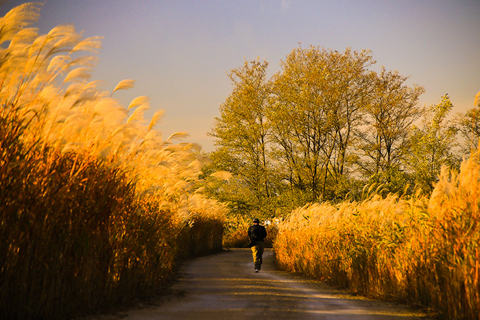 Eulsukdo Ecological Park