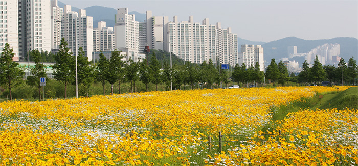 Hwamyeong Ecological Park