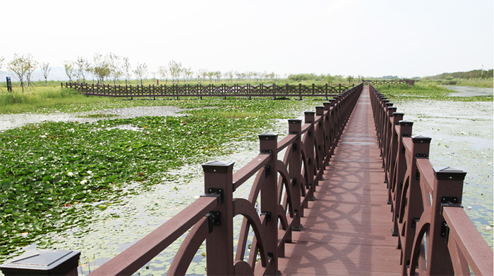 麦島(メクド)生態公園