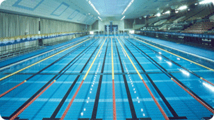 Indoor Swimming Pool photo