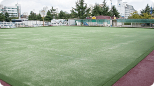 Lawn Bowling Field photo