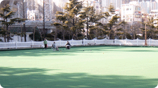 Lawn Bowling Field photo