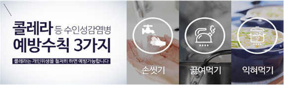 콜레라등 수인성감염병예방수칙 3가지 손씻기 끓여먹기 익혀먹기