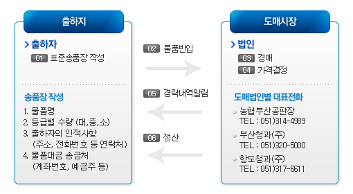 출하과정 : 표준송품장 작성→물품반입→경매→가격결정→결정사항 알림→정산(도매법인별대표전화 : 농협부산공판장 TEL:051)314-4989, 부산청과(주) TEL:051)320-5000, 항도청과(주) TEL:051)317-6611) 송품장 작성요령(물품명→대, 중 ,소 등급별 수량→출하자의 인적사항 주소, 전화번호 등 연락처→물품대금 송금처, 계좌번호, 예금주 등)