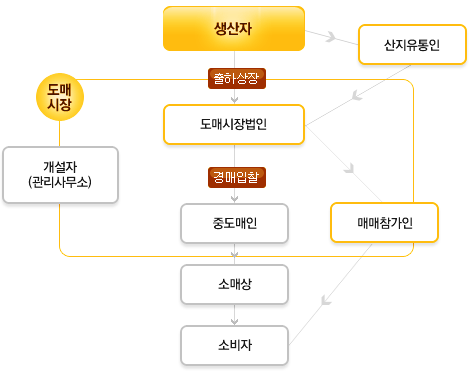 도매시장거래체계표 : 생산자>산지유통인>도매시장법인>매매참가인>소비자, 생산자>출하상장>도매시장법인>경매입찰>중도매인>소매상>소비자
