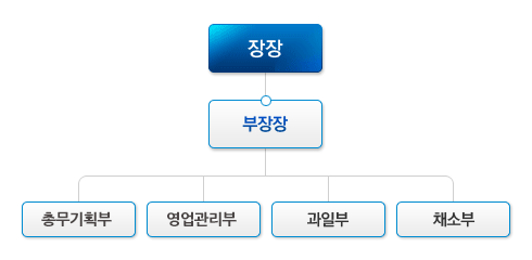 농협부산공판장 조직도: 장장→부장장→관리부,경리부,과일부,채소부(*임직원18명, 경매사13명, 중도매인120명,하역반33명)