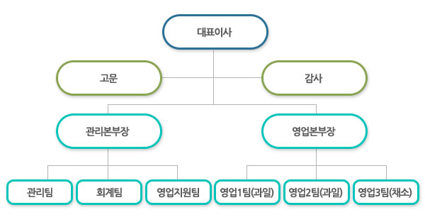 부산청과 조직도 - 대표이사, 고문, 감사, 관리본부장 - 관리팀, 회계팀, 영업지원팀, 영업본부장 - 영업1팀(과일), 영업2팀(과일), 영업3팀(채소)