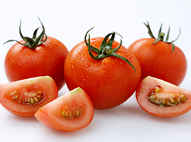 토마토 사진