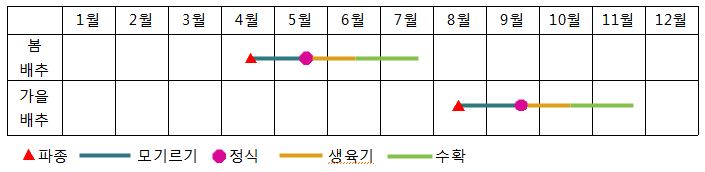 - 봄배추: 4월은파종, 4~5월은 모기르기, 5월은 정식, 5~6월은 생육기, 6~7월은 수확
- 가을배추: 8월은 파종, 8~9월은 모기르기, 9월은 정식, 9~10월은 생육기, 10~11월은 수확