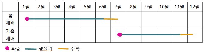 - 봄재배: 1월은파종, 1~6월은 생육기, 6~7월은 수확
- 가을재배: 7월파종, 7~11월은 생육기, 11~12월은 수확