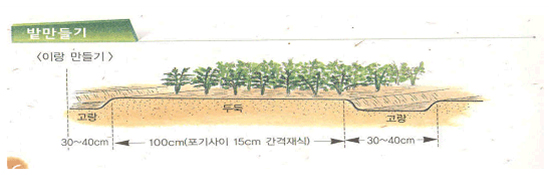 밭만들기 설명이 있는 그림