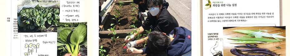 학교4-H회 텃밭가꾸기 프로젝트