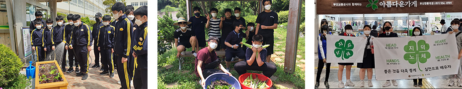 학교별 4-H회 과제활동