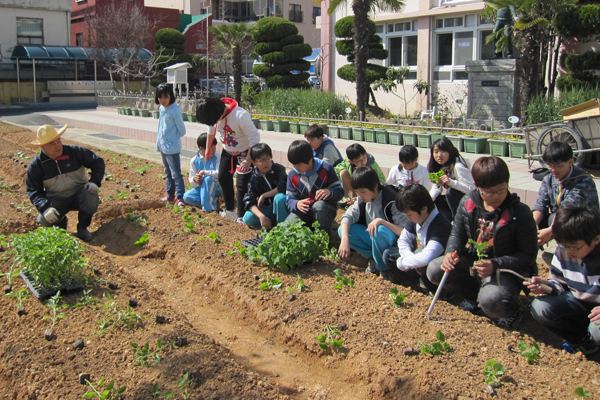 학교텃밭 사진1