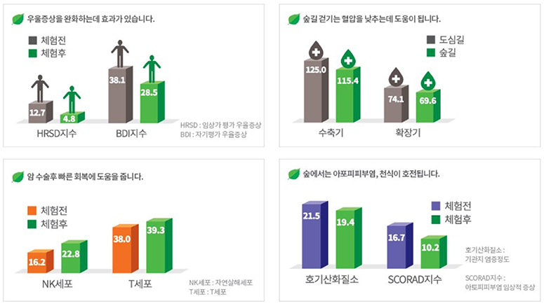 우울증상을 완화하는데 효과가 있습니다. 숲길걷기는 혈압을 낮추는데 도움이 됩니다. 암 수술후 빠른 획복에 도움을 줍니다. 숲에서는 아토피피부염, 천식이 호전됩니다.