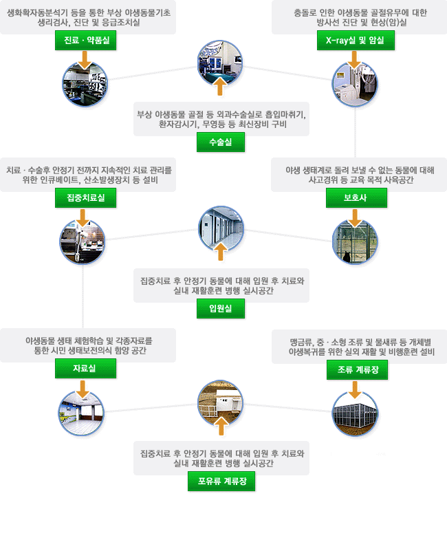 야생동물 치료센터 기본현황 진료약품실:생화학자동분석기 등을 통한 부상 야생동물 기초 생리검사, 진단 및 응급 조치실 수술실: 부상 야생동물 골절 등 외과수술실로 흡입마취기, 환자감시기, 무영등 등 최신장비 구비, x-ray실 및 암실: 충돌로 인한 야생동물 골절유무에 대한 방사선 진단 및 현상(암)실, 집중치료실: 치료,수술 후 안정기 전까지 지속적인 치료 관리를 위한 인큐베이트, 산소발생장치 등 설비, 입원실:집중치료 후 안정기 동물에 대해 입원 후 치료와 실내 재활훈련 병행 실시공간, 보호사: 야생 생태계로 돌려 보낼 수 없는 동물에 대해 사고경위 등 교육 목적 사육공간, 자료실: 야생동물 생태 체험학습 및 각종자료를 통한 시민 생태보전의식 함양 공간, 포유류 계류장: 집중치료 후 안정기 동물에 대해 입원 후 치료와 실내 재활훈련 병행 실시공간, 조류 계류장: 맹금류,중소형조류 및 물새류 등 개체별 야생복귀를 위한 실외 재활 및 비행훈련 설비