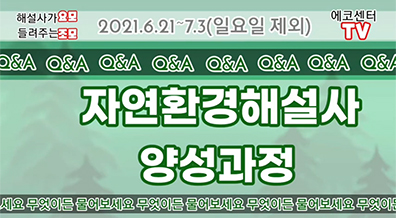 해설사가 들려주는 요모 조모 2021.6.21~7.3(일요일 제외) 에코센터TV Q&A 자연환경해설사 양성과정 무엇이든 물어보세요