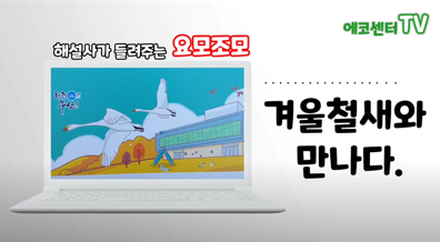 에코센터 TV 해설사가 들려주는 요모조모 겨울철새와 만나다.