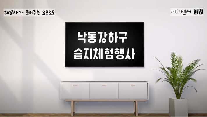2024년 가을 환경교육 체험행사